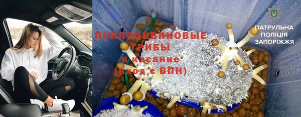каннабис Аркадак