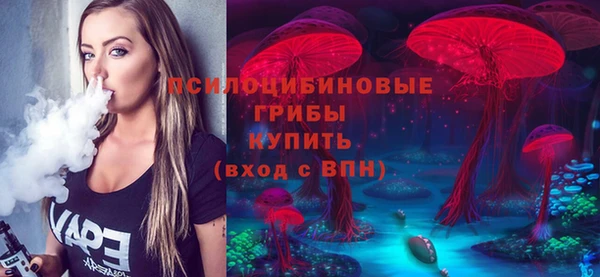 2c-b Арсеньев