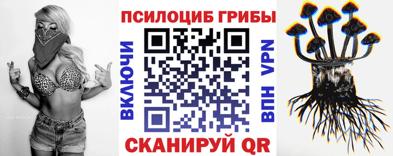 Псилоцибиновые грибы мицелий  MEGA как войти  shop формула  Можга 