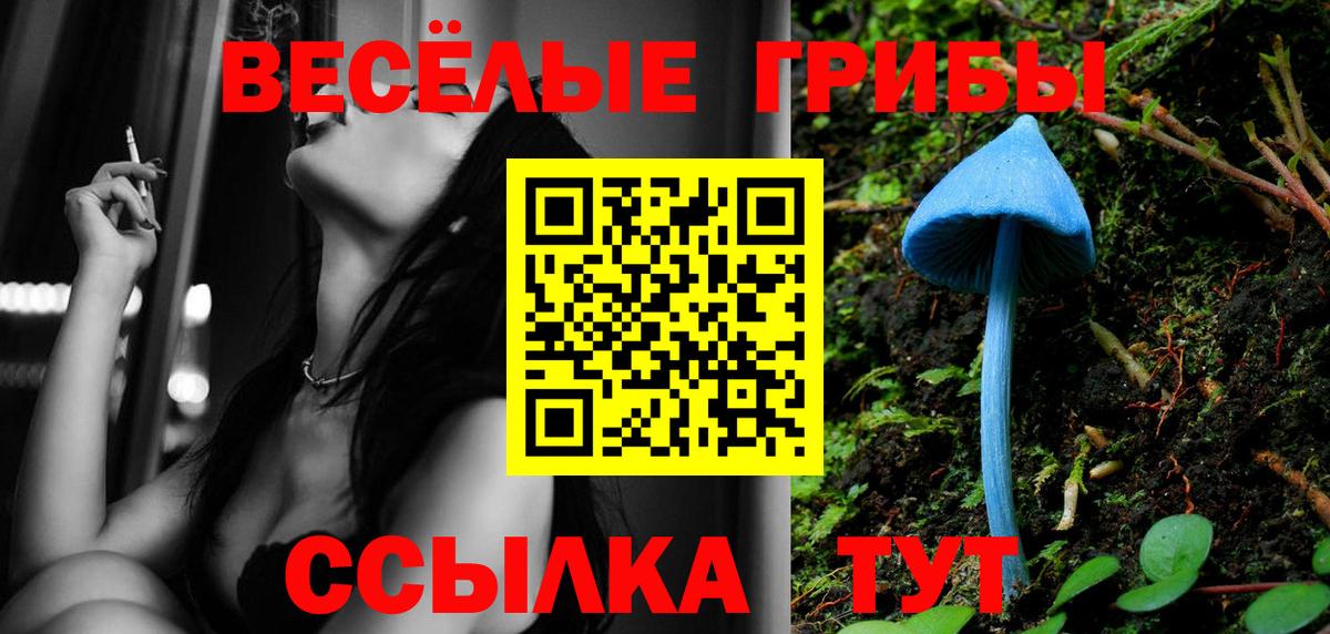 Галлюциногенные грибы мицелий  Вход с VPN  Галлюциногенные грибы MAGIC MUSHROOMS  Можга 