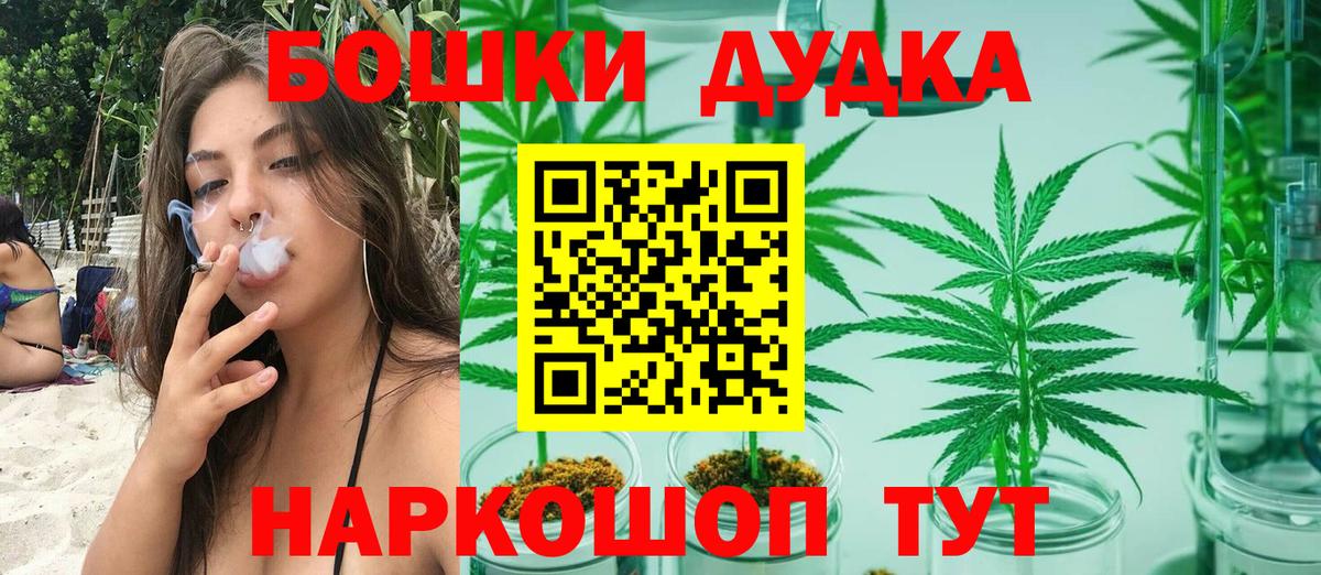 Бошки Шишки Amnesia Можга